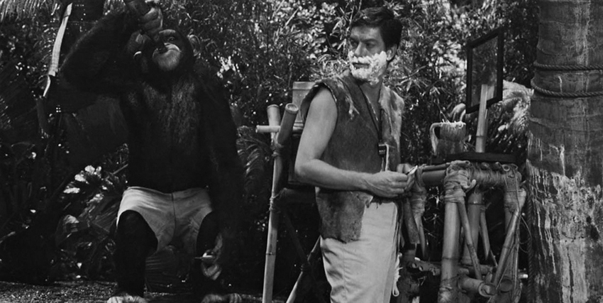 dick van dyke è robinson crusoe e si fa la barba accanto a uno scimpanzé - nerdface