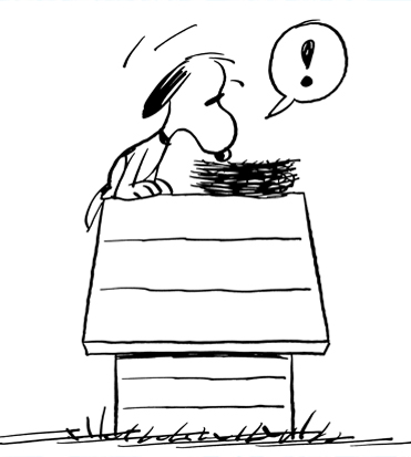appside-Peanuts-01