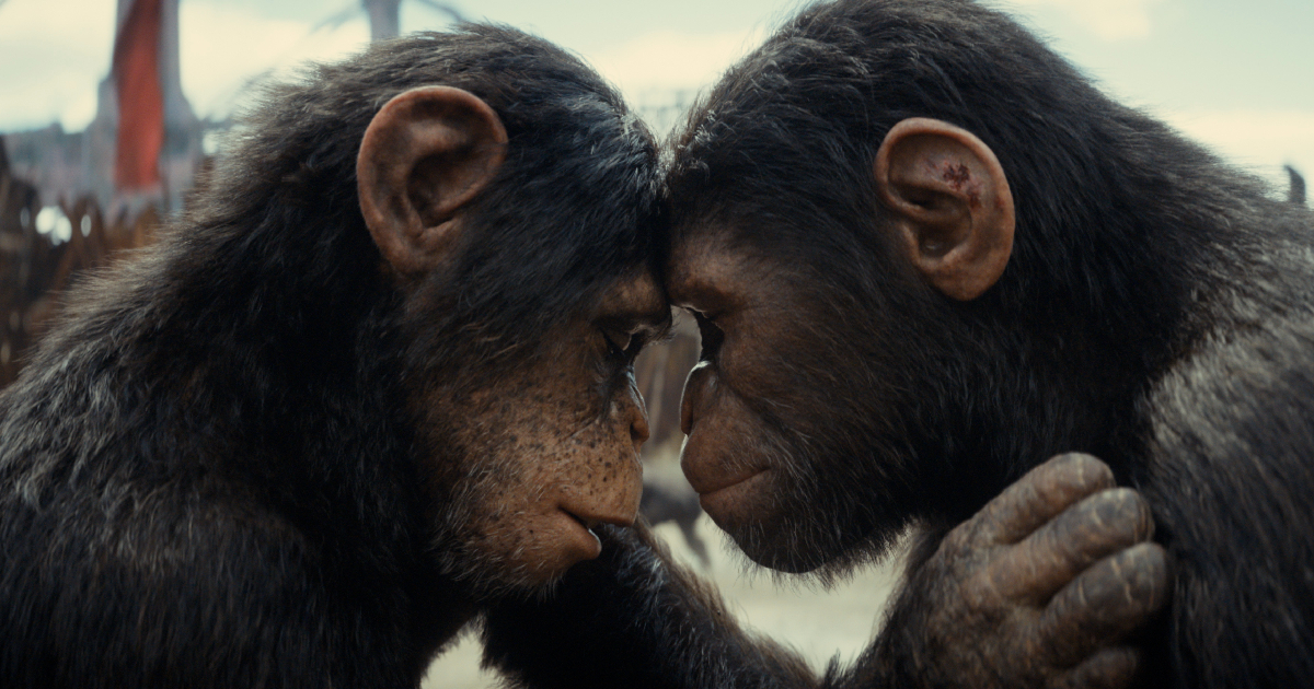 due scimpanzè si abbraccino ne il regno del pianeta delle scimmie - nerdface