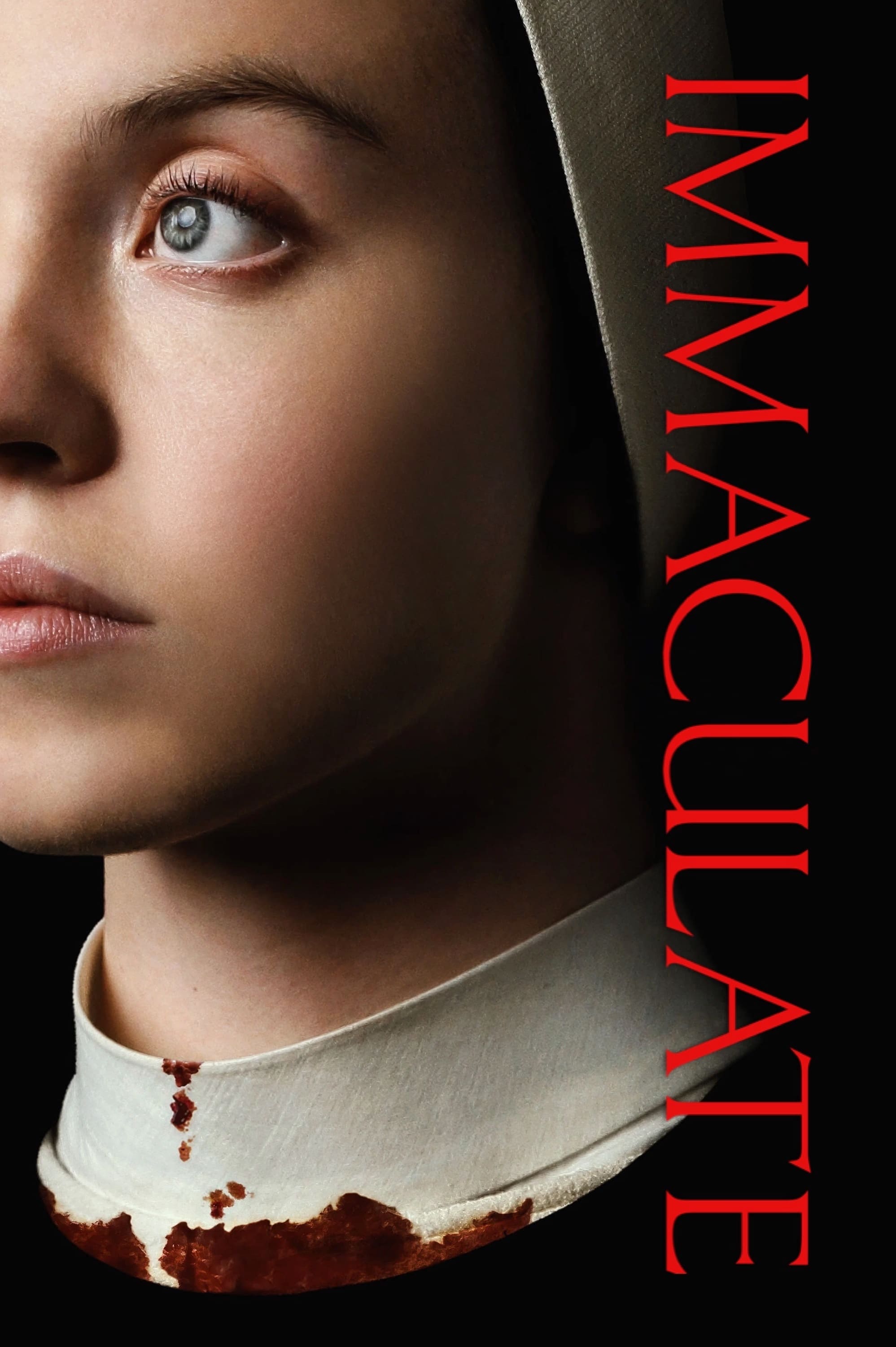 il poster ufficiale di immaculate la prescelta - nerdface