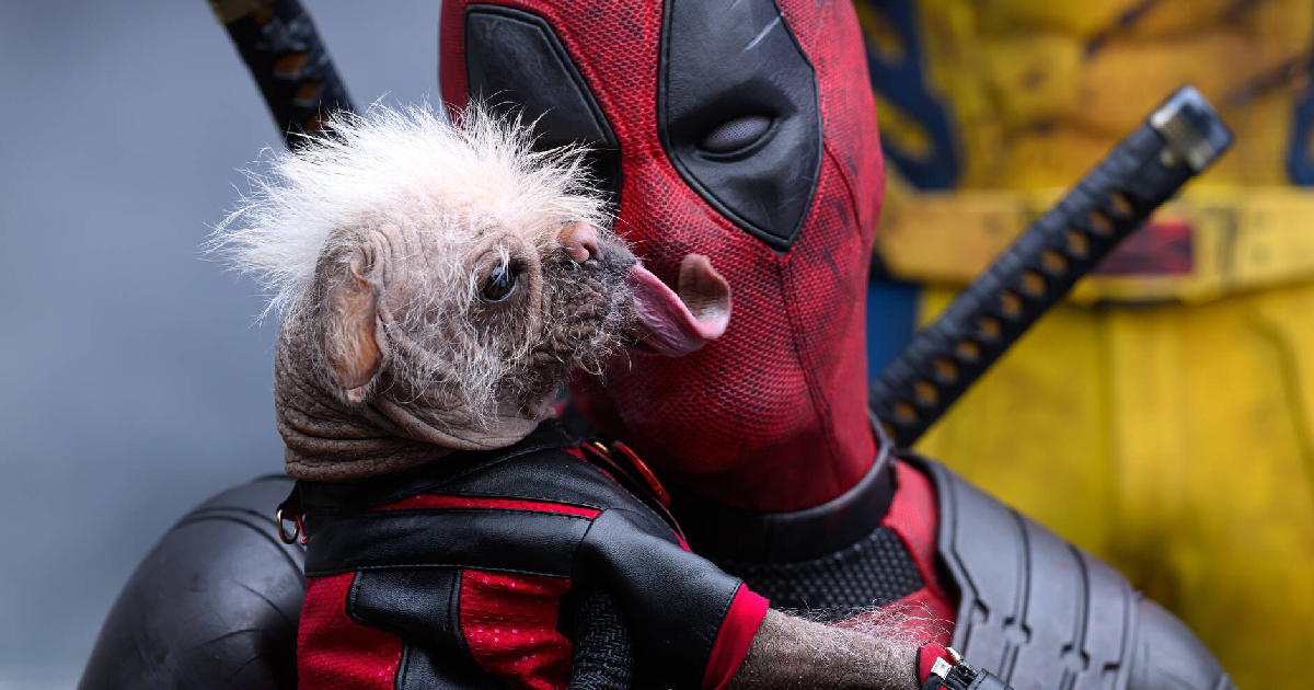 in deadpool & wolverine il mercenario chiacchierone si fa leccare il volto da un cane - nerdface