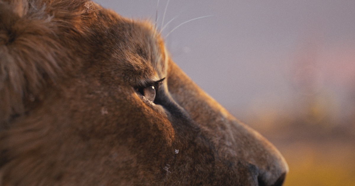 mufasa il re leone scruta l'orizzonte nel nuovo trailer - nerdface