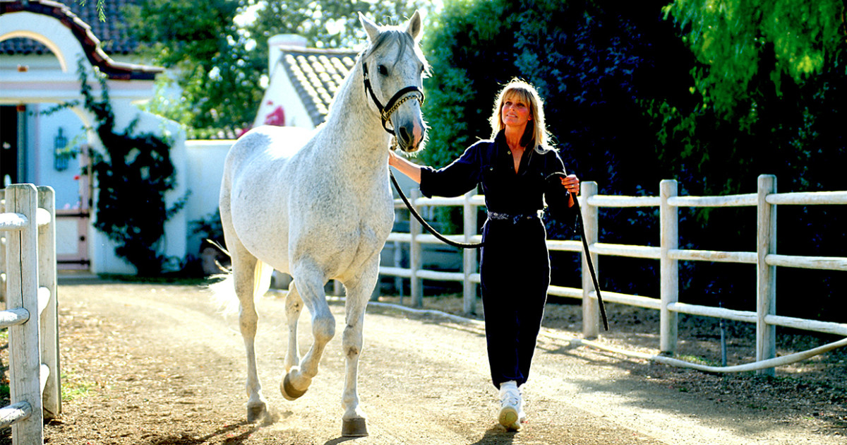 bo derek conduce un cavallo - nerdface