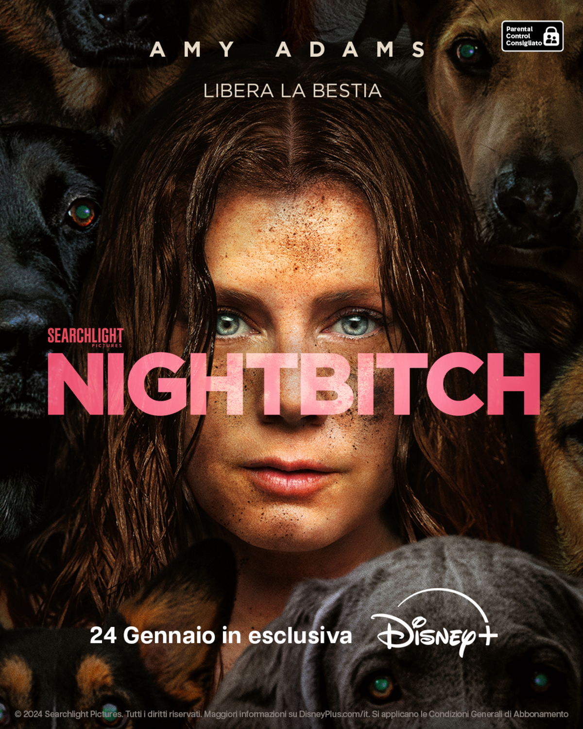 la key art ufficiale di nightbitch - nerdface